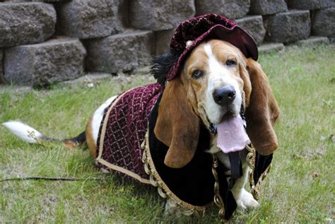 tudor dog|world of medieval dogs.